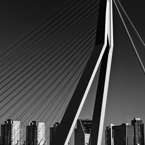 <center><p style="color:#FFFFFF;">Caressingly Watching over Them  - © Julia Anna Gospodarou  - Erasmus Bridge Rotterdam</p></center>
