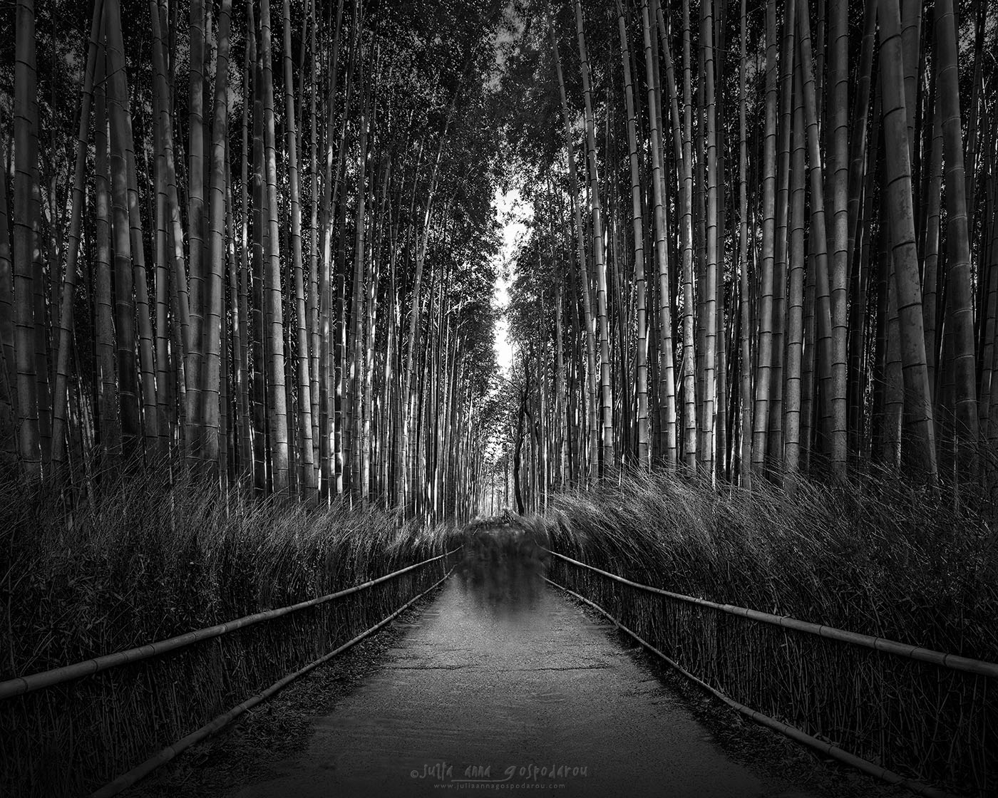 <center><p style="color:#FFFFFF;">Komorebi II - Inner Light - © Julia Anna Gospodarou - Kyoto Japan arashiyama bamboo grove, Landscape</p></center>