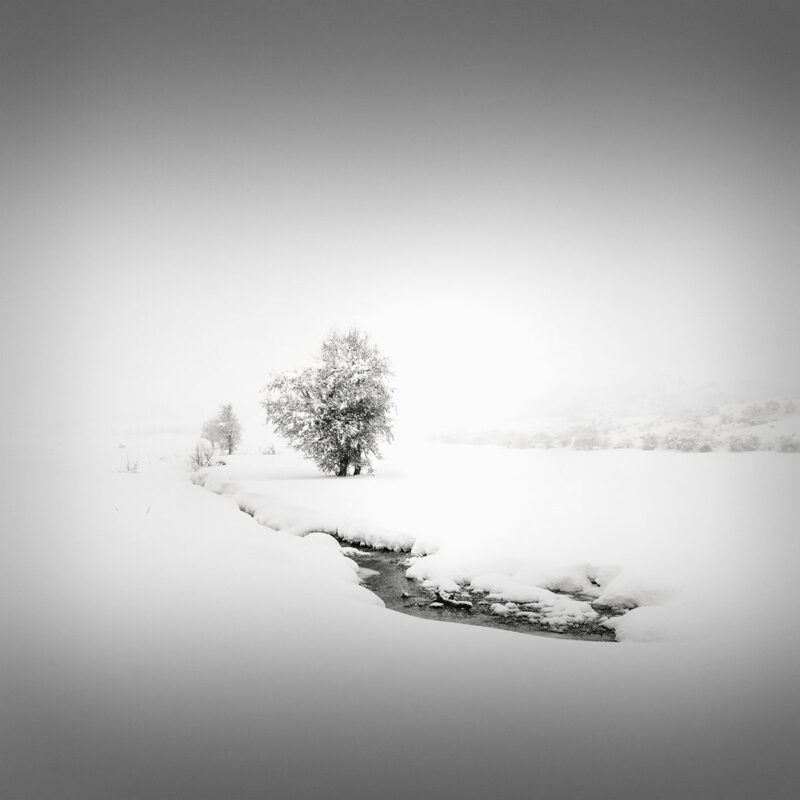 Catharsis III - The Path © Julia Anna Gospodarou 2013 metsovo pindus mountains greece