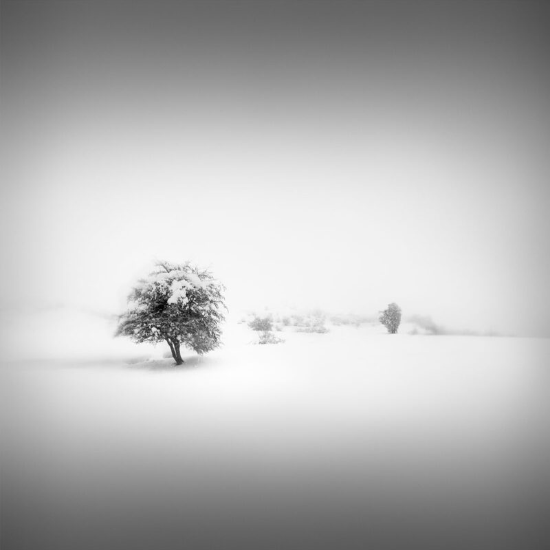 Catharsis IV - Spellbound - Pindus Mountains © Julia Anna Gospodarou metsovo pindus mountains greece