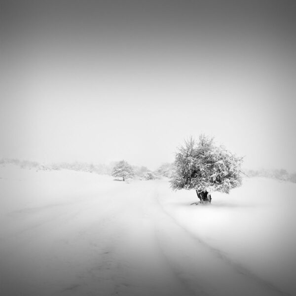 Catharsis V - New Beginnings © Julia Anna Gospodarou 2013 metsovo pindus mountains greece