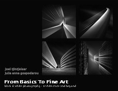 From Basics to Fine Art by Julia Anna Gospodarou & Joel Tjintjelaar