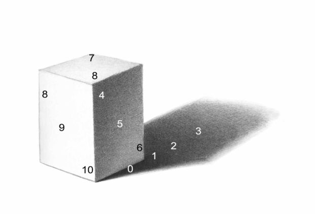 Disposition of light values (gray tones) on rendered basic volumes: sphere and parallelepiped