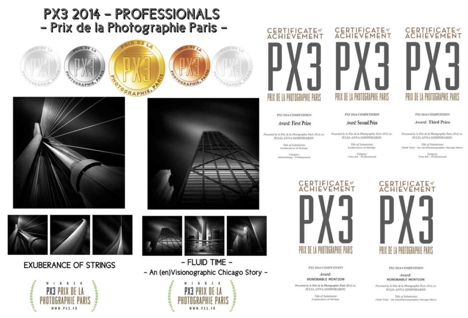 Gold, Silver and Bronze at PX3 2014 - Prix de le Photographie Paris