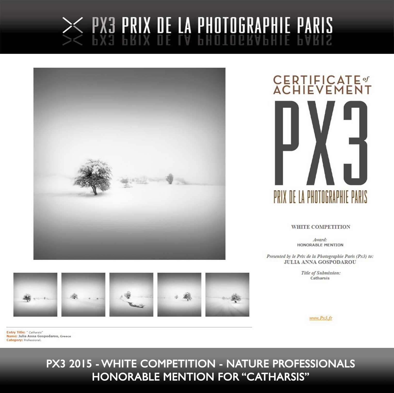 PX3 Paris 2015 White - Catharsis series - Honorable Mention
