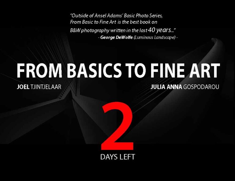Official book release From Basics to Fine Art with 20% discount offer