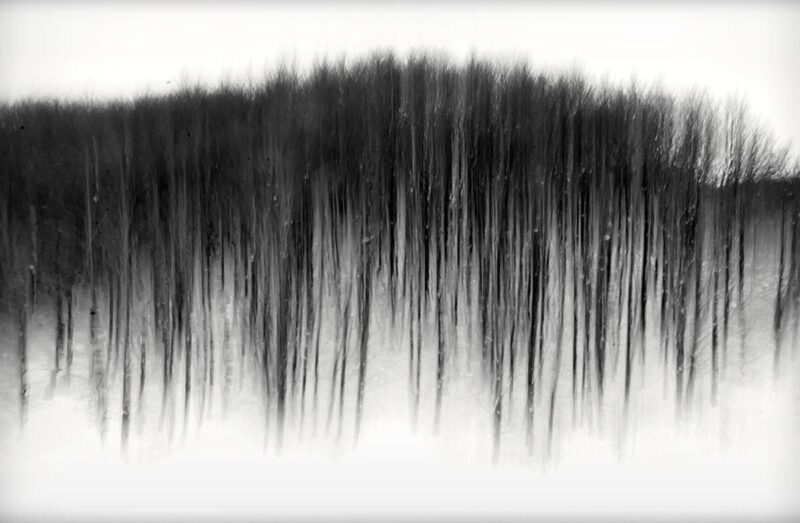 Flowing Dance I © Julia Anna Gospodarou