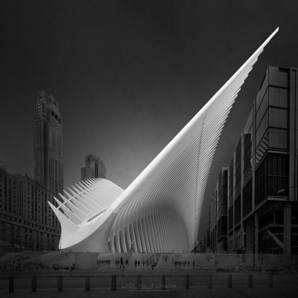 Julia Anna Gospodarou - Flying Away IV - Oculus and Memorial Pool new york santiago calatrava architect