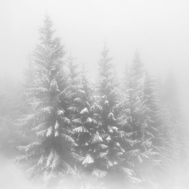 sinaia carpathian mountains romania