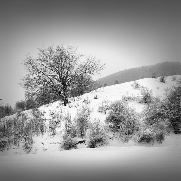 Metsovo pindus mountains Greece