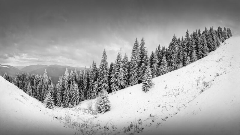sinaia carpathian mountains romania