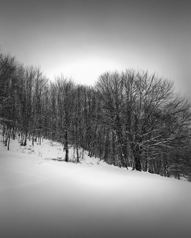 Metsovo pindus mountains Greece