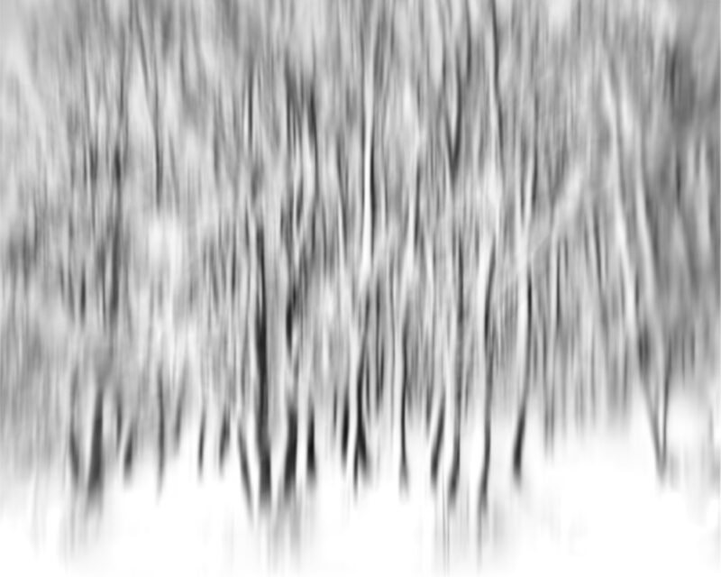Flowing Dance VII - Misty Dream - Metsovo Pindus National Park Greece
