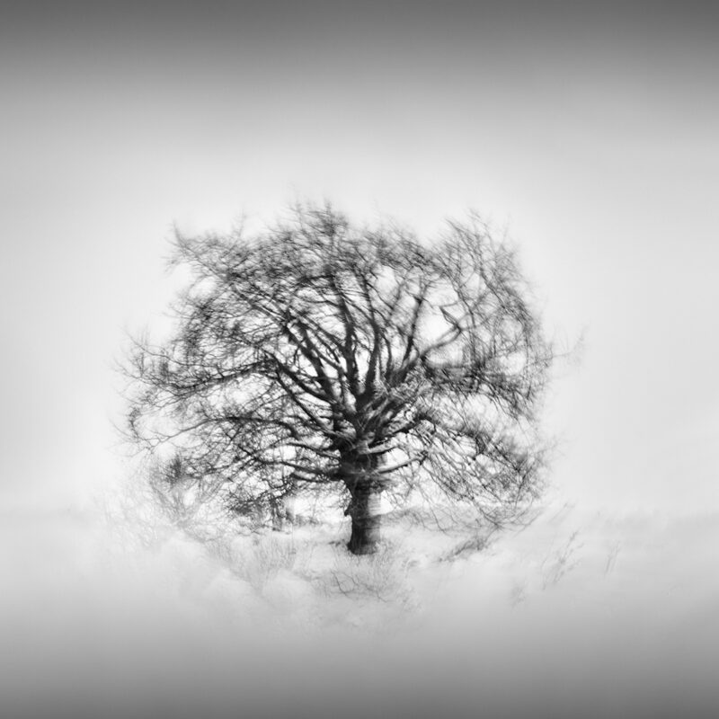 Flowing Dance II © Julia Anna Gospodarou - ICM Circular Movement - Image Details: 60mm, f/32, 0,8 sec, ISO 100