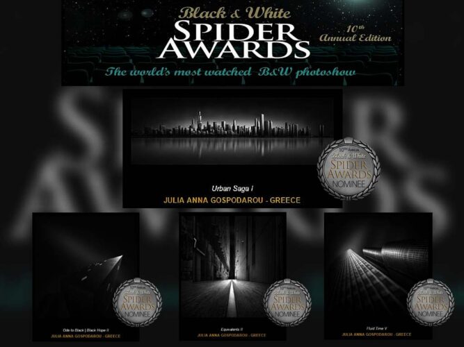 julia anna gospodarou BLACK & WHITE SPIDER AWARDS 2015 - PROFESSIONALS