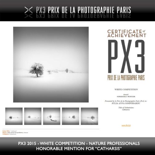 julia anna gospodarou  PX3 2015 – PRIX DE LA PHOTOGRAPHIE  PARIS - PROFESSIONALS