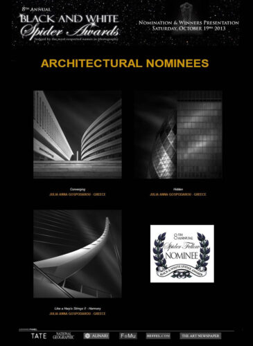 julia anna gospodarou BLACK & WHITE SPIDER AWARDS 2013