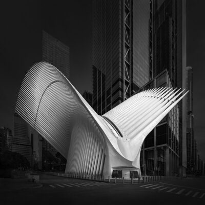 Julia Anna Gospodarou_Flying Away VI_New York Oculus by Calatrava