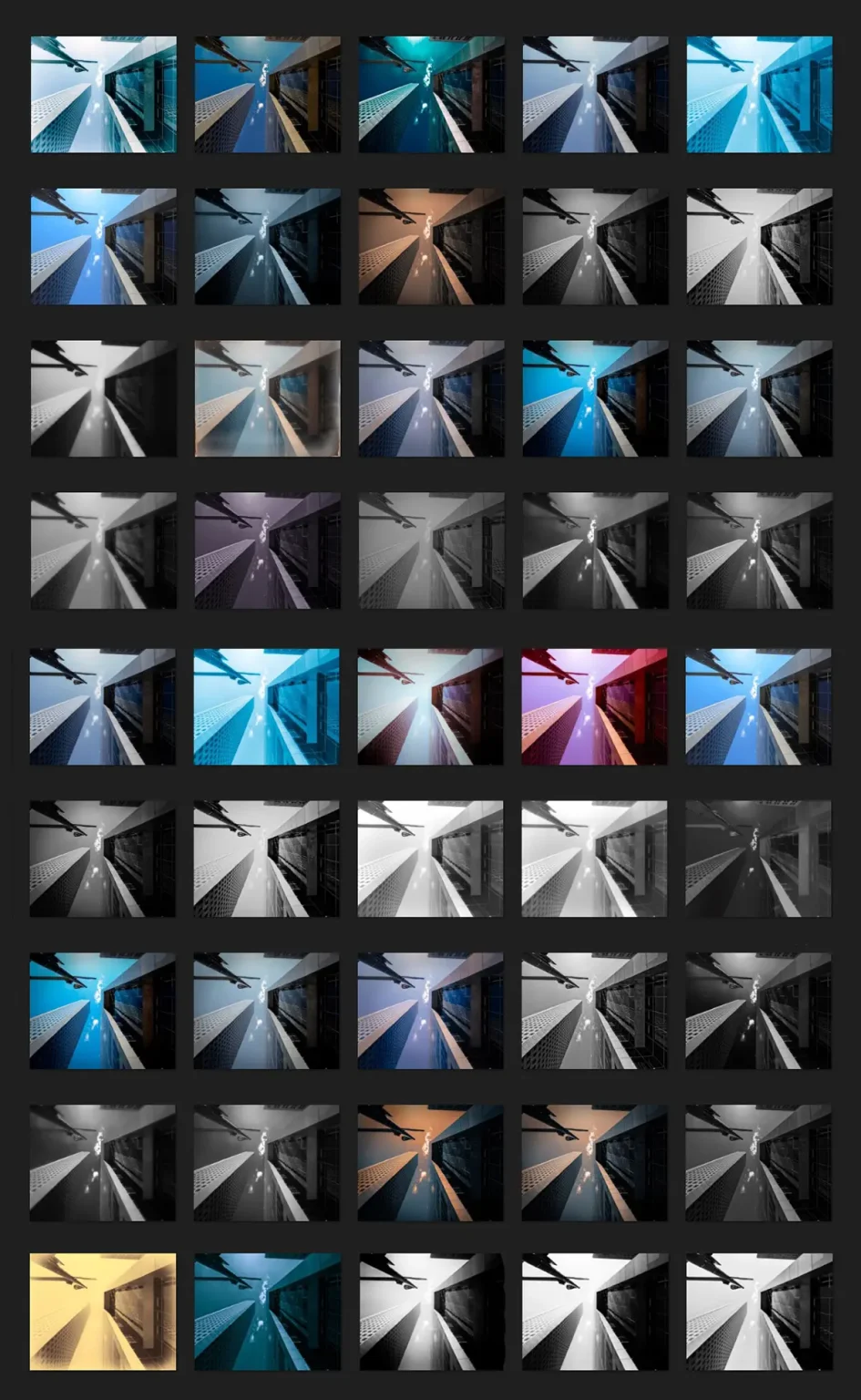 fine art DxO NIK Presets enVisionography