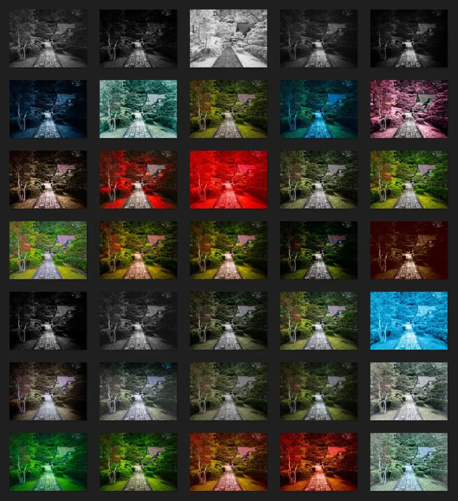 fine art DxO NIK Presets enVisionography