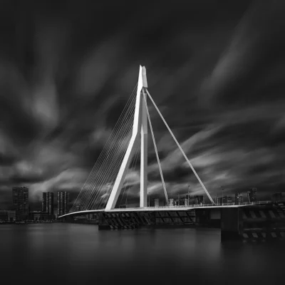 A Swan's Tale I - Erasmus Bridge Rotterdam - B&W © Julia Anna Gospodarou